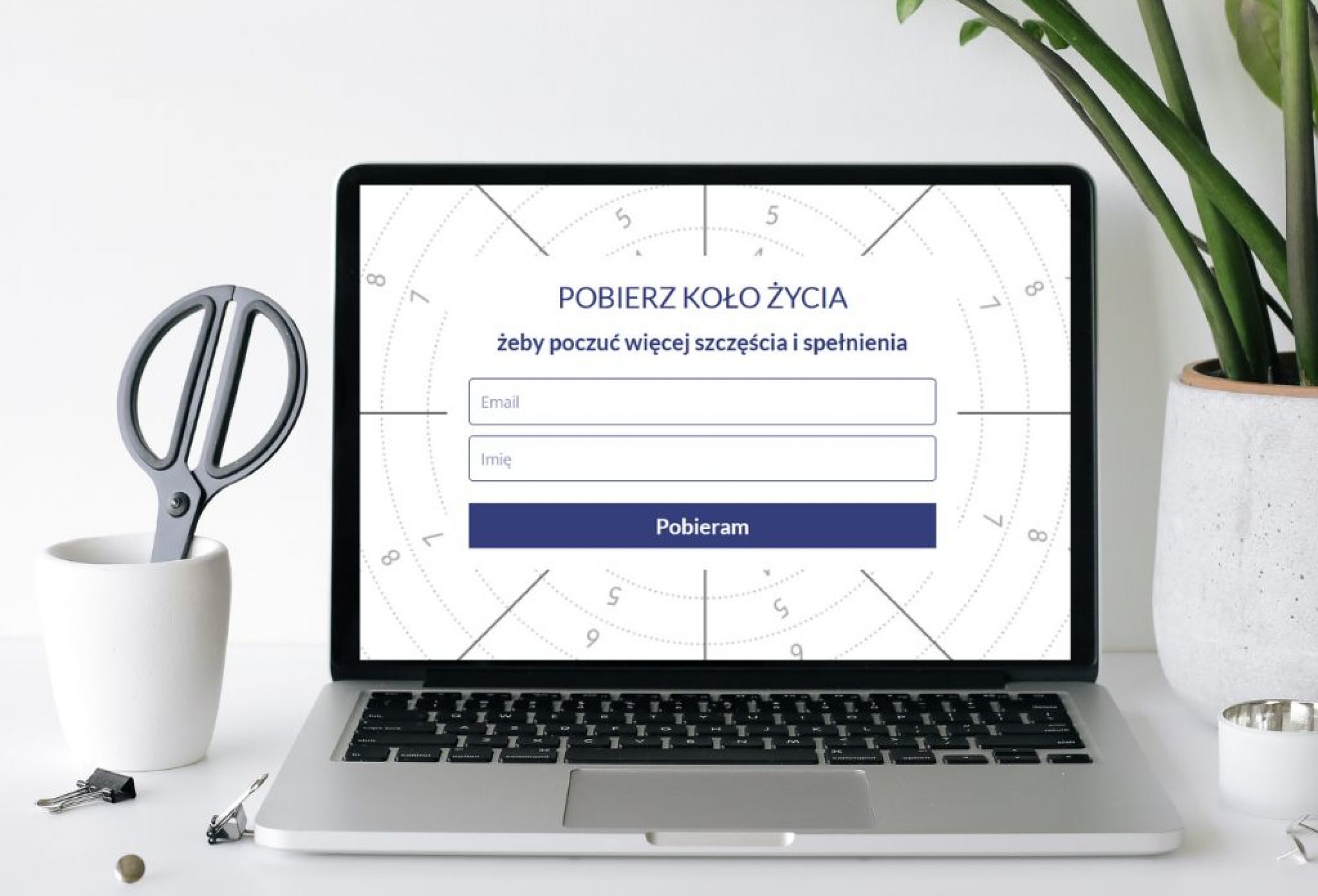 Koło życia do wydruku – najlepsze narzędzia zmiany
