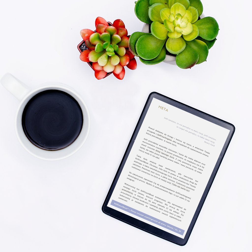 SelfCoachBook-do-opisu-meta