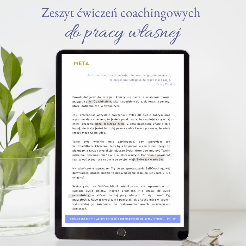 SelfCoachBook-meta